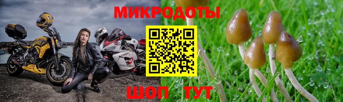 Полевской  Псилоцибиновые грибы мицелий  сколько стоит  Псилоцибиновые грибы мицелий  Вход с VPN 